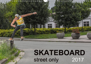 Skateboard - Street only (Wall Calendar 2017 DIN A3 Landscape)