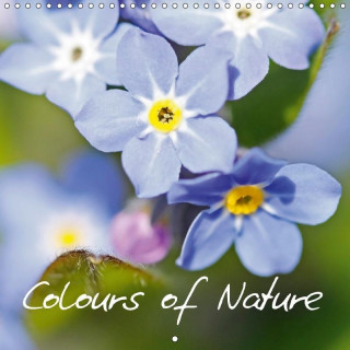 Colours of Nature (Wall Calendar 2017 300 × 300 mm Square)