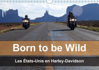 Born to be wild - Les États-Unis en Harley-Davidson (Calendrier mural 2017 DIN A4 horizontal)