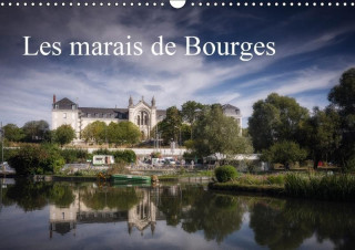 Les marais de Bourges (Calendrier mural 2017 DIN A3 horizontal)