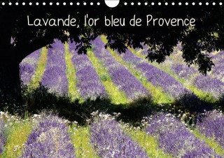 Lavande, l'or bleu de Provence (Calendrier mural 2017 DIN A4 horizontal)