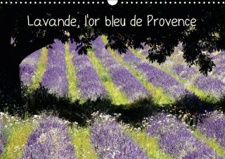 Lavande, l'or bleu de Provence (Calendrier mural 2017 DIN A3 horizontal)