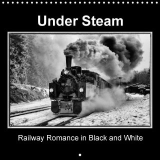 Under Steam Railway Romance in Black and White (Wall Calendar 2017 300 × 300 mm Square)