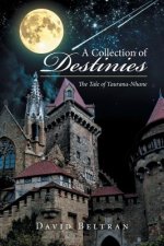 Collection of Destinies