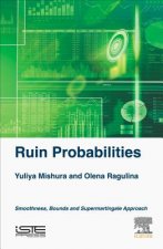 Ruin Probabilities