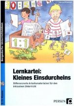 Lernkartei: Kleines Einsdurcheins