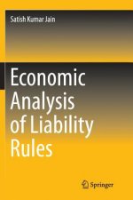 Economic Analysis of Liability Rules