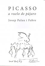 Picasso a vuelo de pájaro