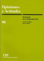 Sociología de la seguridad vial