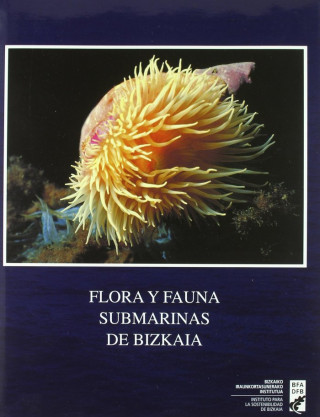 Flora y fauna submarinas de Bizkaia