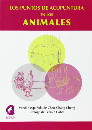 Los puntos de acupuntura en animales