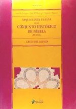 Arqueología en el conjunto histórico de Niebla (Huelva) : carta de riesgo