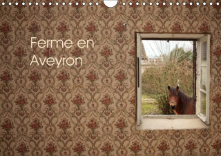 Ferme en Aveyron (Calendrier mural 2017 DIN A4 horizontal)