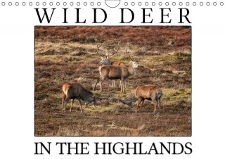 Wild Deer In The Highlands (Wall Calendar 2017 DIN A4 Landscape)