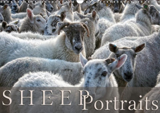 Sheep Portraits (Wall Calendar 2017 DIN A3 Landscape)