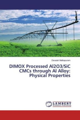 DIMOX Processed Al2O3/SiC CMCs through Al Alloy: Physical Properties
