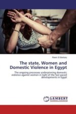 The state, Women and Domestic Violence in Egypt