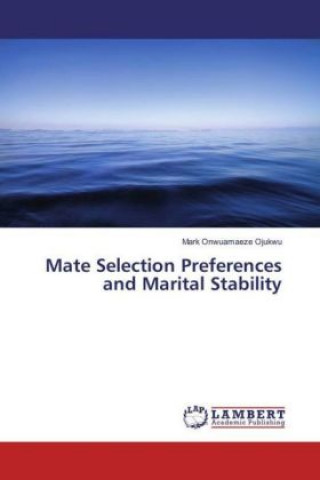 Mate Selection Preferences and Marital Stability