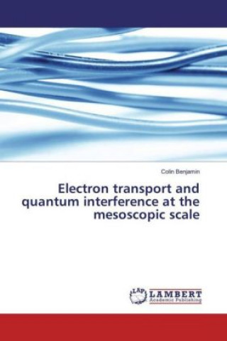 Electron transport and quantum interference at the mesoscopic scale