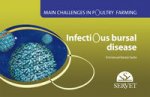INFECTIOUS BURSAL DISEASE MAIN CHALLENGE
