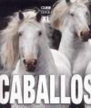 Caballos XL