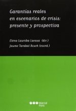 Garantías reales en escenarios de crisis : presente y prospectiva