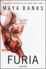 Furia. Passione senza tregua
