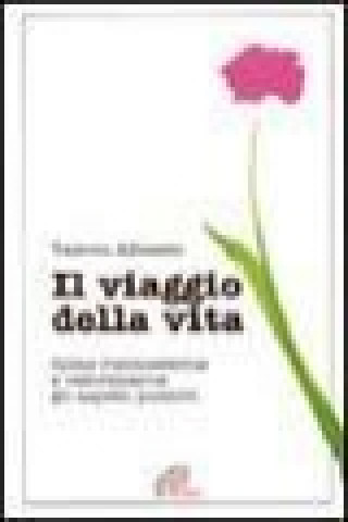 Il viaggio della vita. Come riconoscerne e valorizzarne gli aspetti positivi