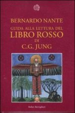 Guida alla lettura del «Libro rosso» di C. G. Jung