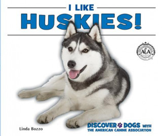 I Like Huskies!