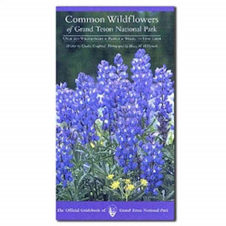 Common Wildflowers of Grand Teton National Park
