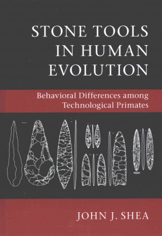 Stone Tools in Human Evolution