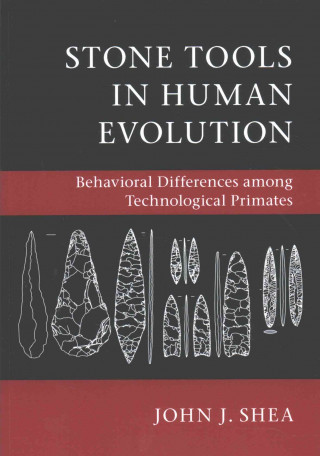 Stone Tools in Human Evolution