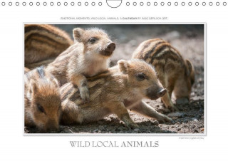 Emotional Moments: Wild local animals / UK-Version (Wall Calendar 2017 DIN A4 Landscape)