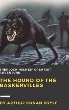 Hound of the Baskervilles