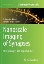 Nanoscale Imaging of Synapses