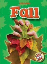 Fall