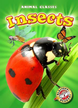 Insects