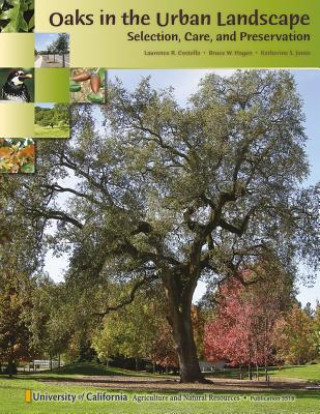 Oaks in the Urban Landscape: Selection, Care, and Preservation