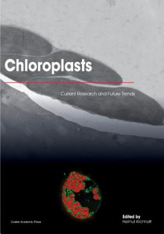 Chloroplasts