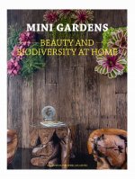 Mini Gardens: Beauty and Biodiversity at Home