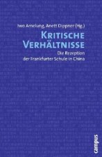 Kritische Verhältnisse