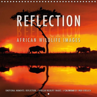 Emotional Moments: Reflection - African Wildlife Images 2017