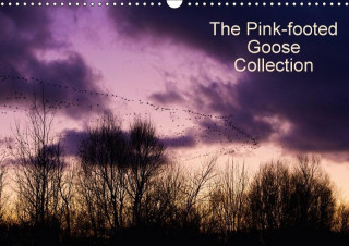 Pinkfoot Goose Collection 2017