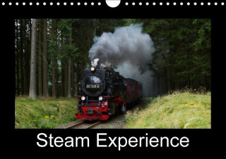 Steam Experience 2017