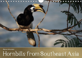 Hornbills from Southeastern Asia 2017