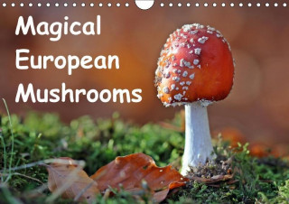 Magical European Mushrooms 2017