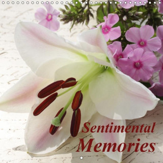 Sentimental Memories 2017