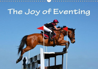 Joy of Eventing 2017