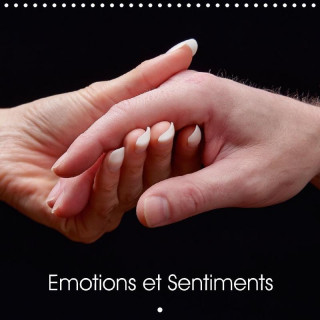 Emotions Et Sentiments 2017